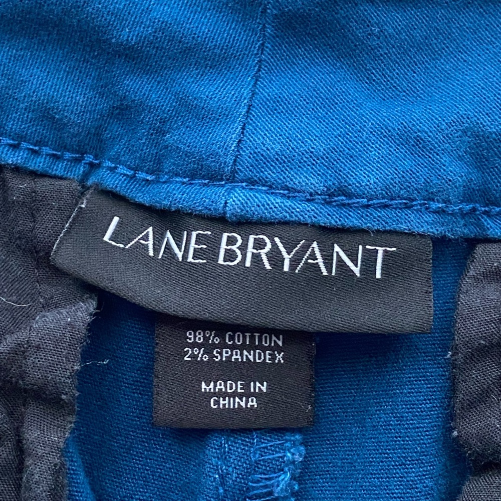 Lane Bryant Shorts - Picture 3 of 9